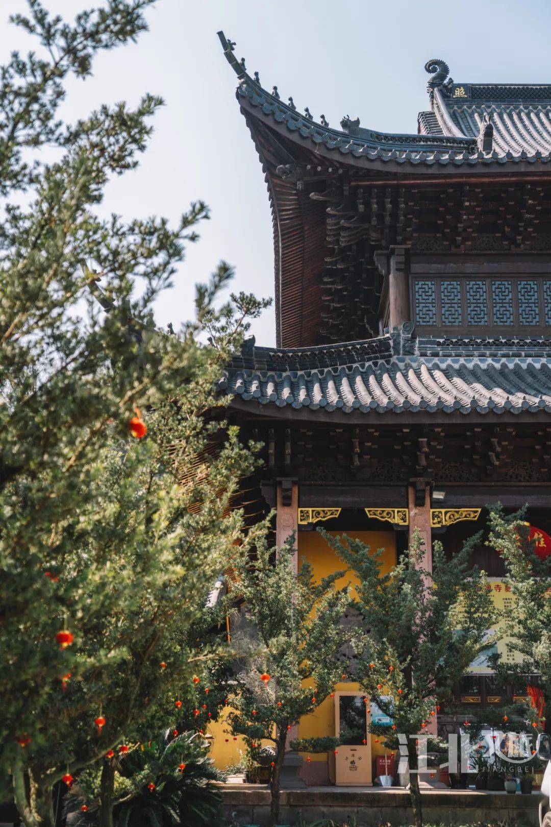 鐘樓,赭山老街,赭山禪寺,龍王堂,盆景園(微型盆景直播基地)地址:寧波