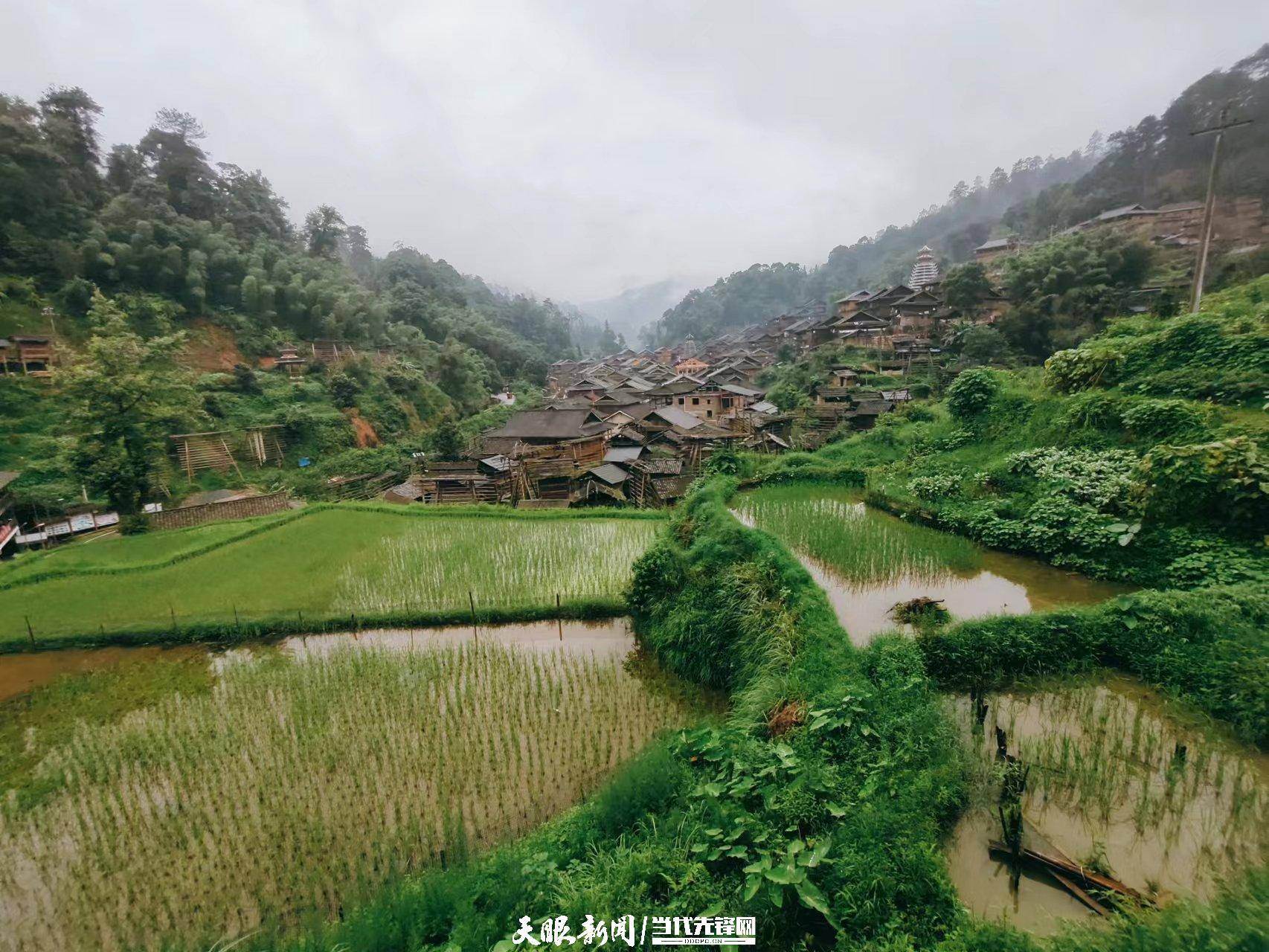 【和美乡村行】从江县占里村：打造特色田园乡村 推进乡村振兴_发展_旅游集散中心_文化