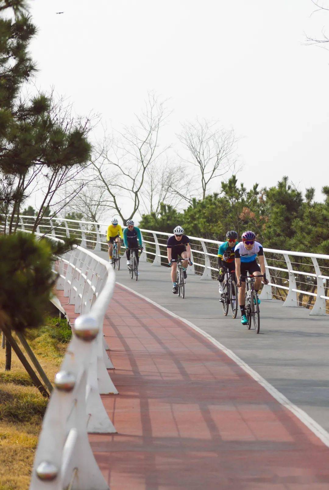 日照阳光海岸骑行路线图片