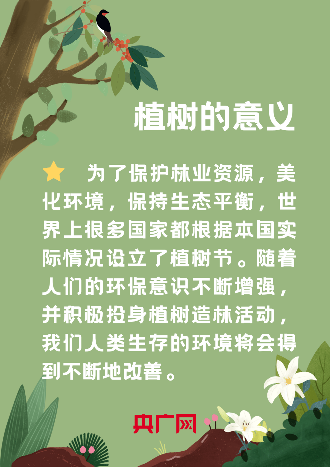 中国植树节内容图片