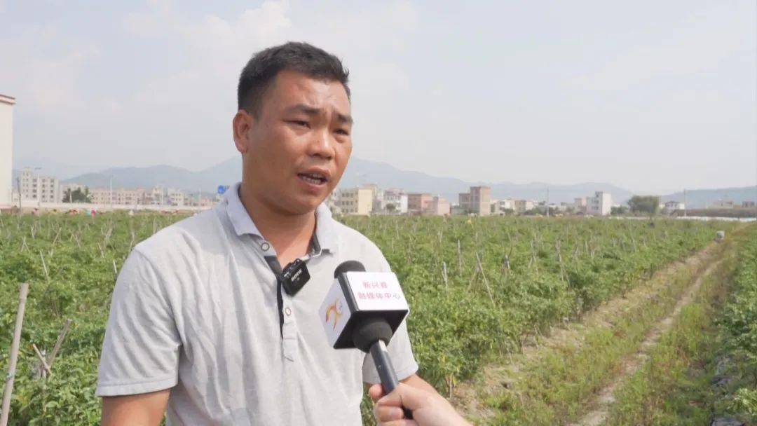 【聚焦"百县千镇万村高质量发展工程"】新兴县天堂镇:"巧借"帮扶力量