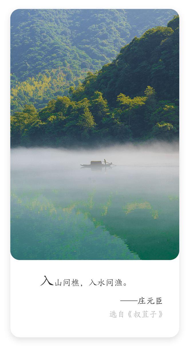 每日名言 | 庄元臣：入山问樵，入水问渔_分析_处理_实际