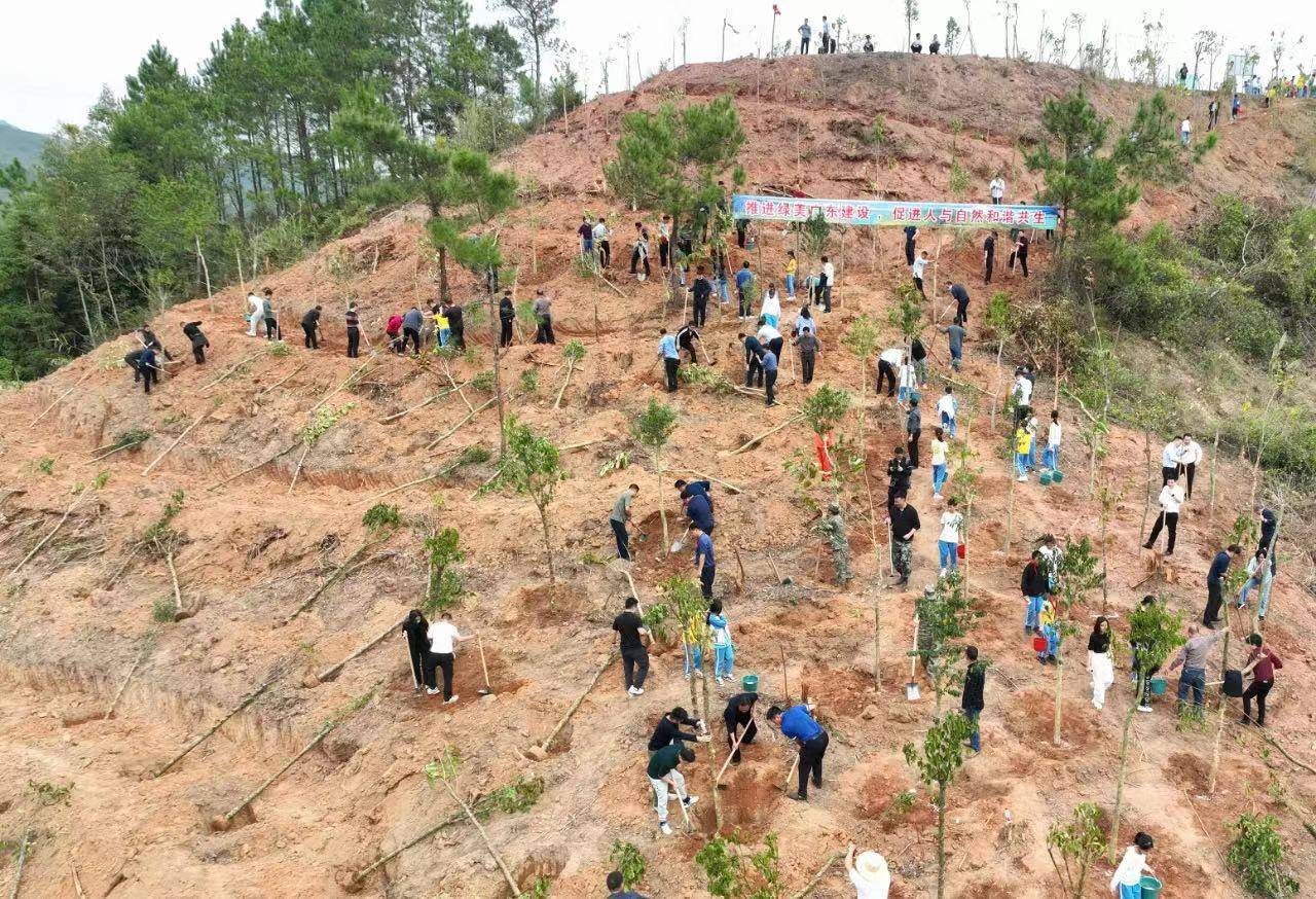 广东累计义务植树超50亿株,创新推出“认种一棵树”义务植树小程序_活动_绿化_全省