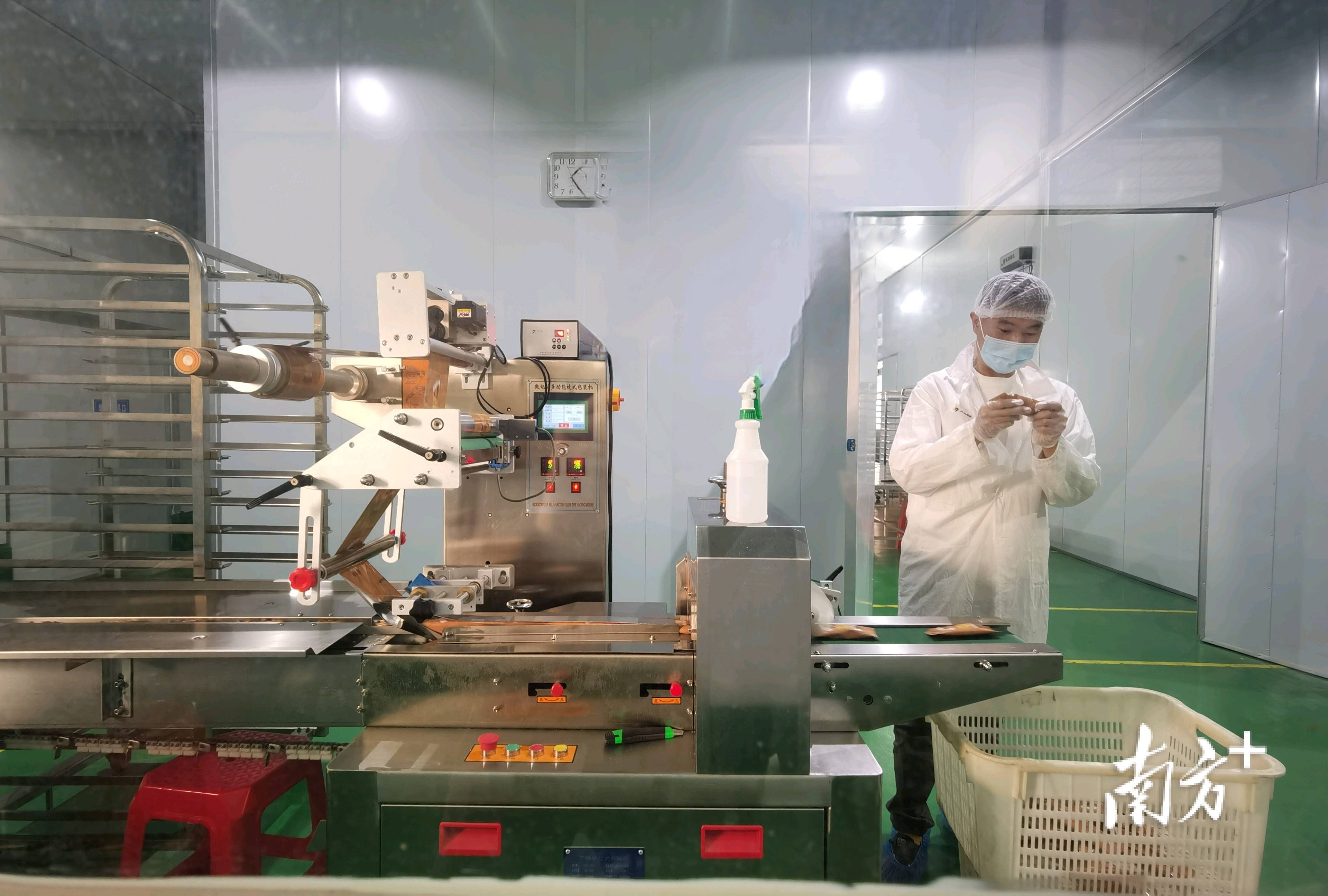 你爱吃的"三只松鼠"的坚果可能是在电白加工生产的_食品_企业_产品