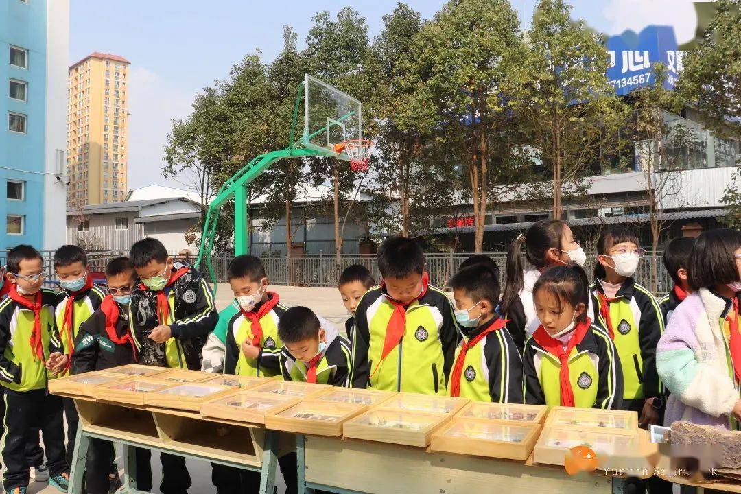 "生物多样性·奇妙的动物世界"科普活动走进昆明市盘龙区青云小学二部