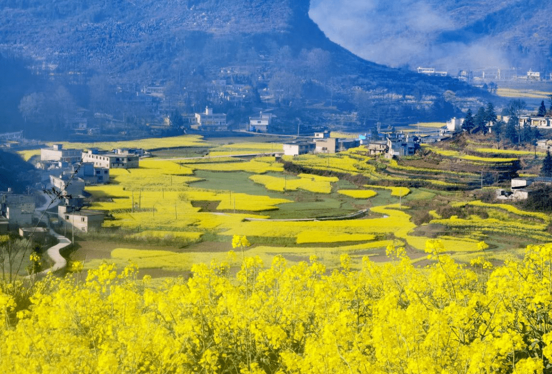 织金猫场镇全景图片