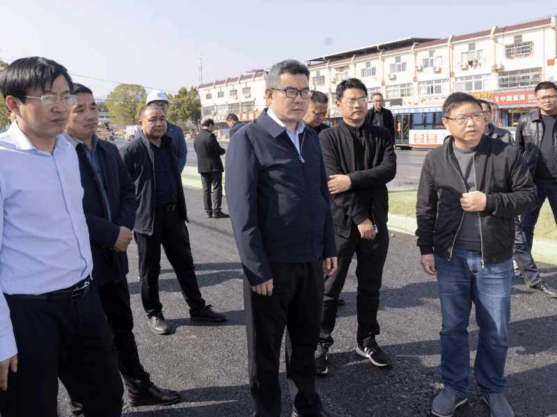 王国林督导重点工程项目建设工作_行业_潜山_发展