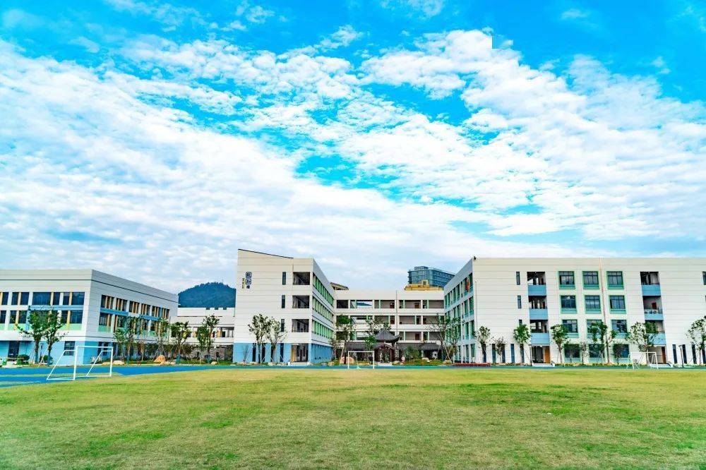 桐庐这4所学校获评2022年浙江省现代化学校_教育_文化_办学