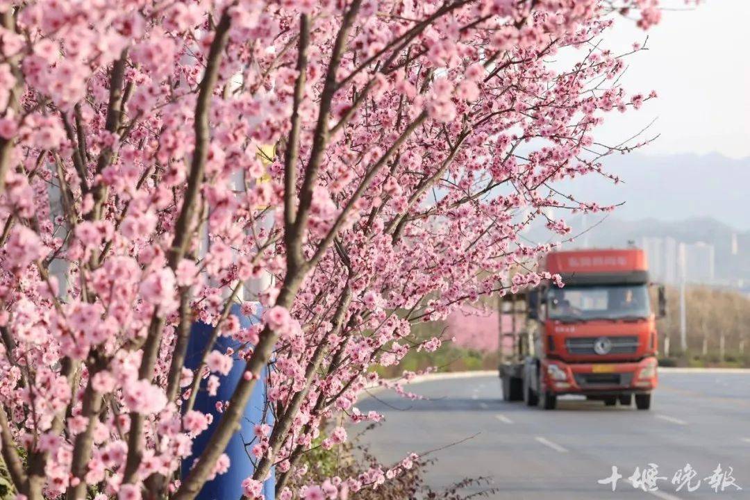 十堰城区首个！那条路美翻了