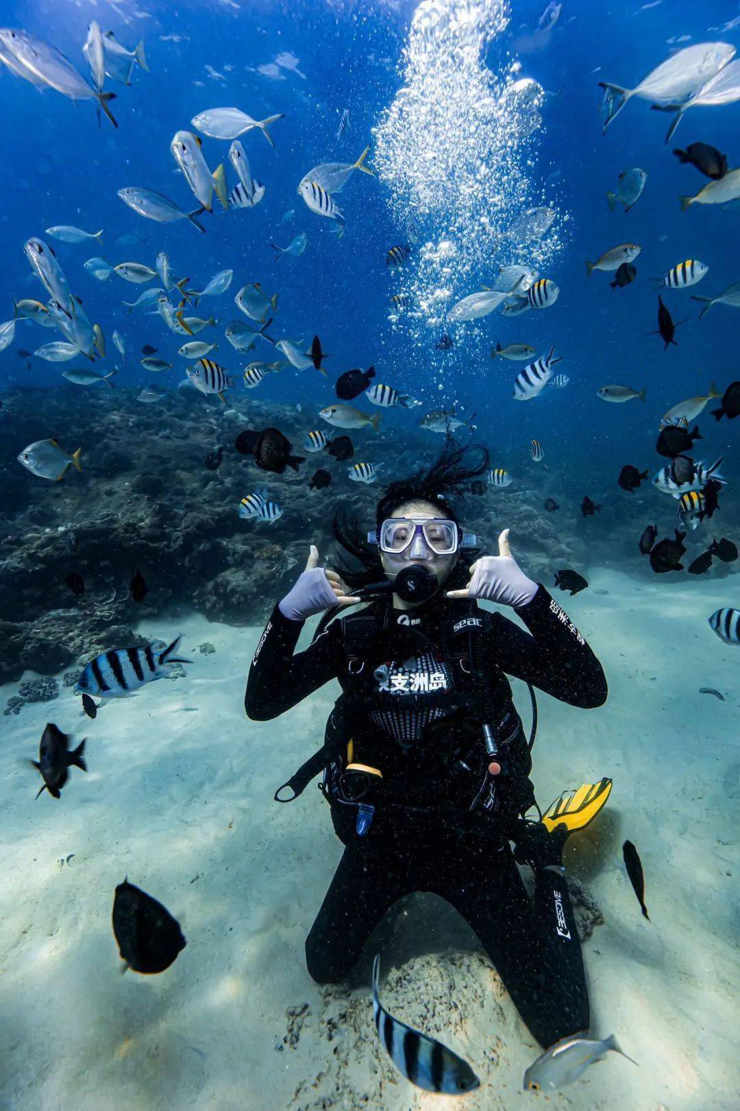来蜈支洲岛考下一张潜水证,就能潜遍全球!_海域_教练_珊瑚