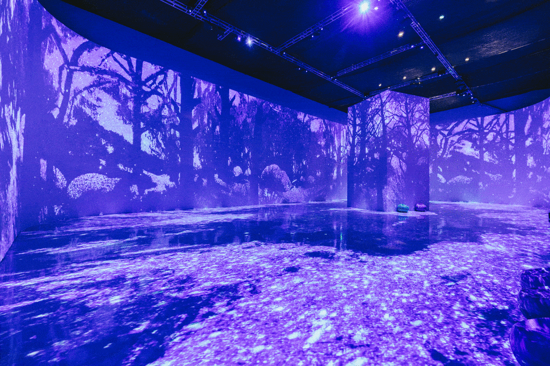 欧阳娜娜,塞尚展「四季·星辰」推荐官!_艺术展_今日美术馆_光影