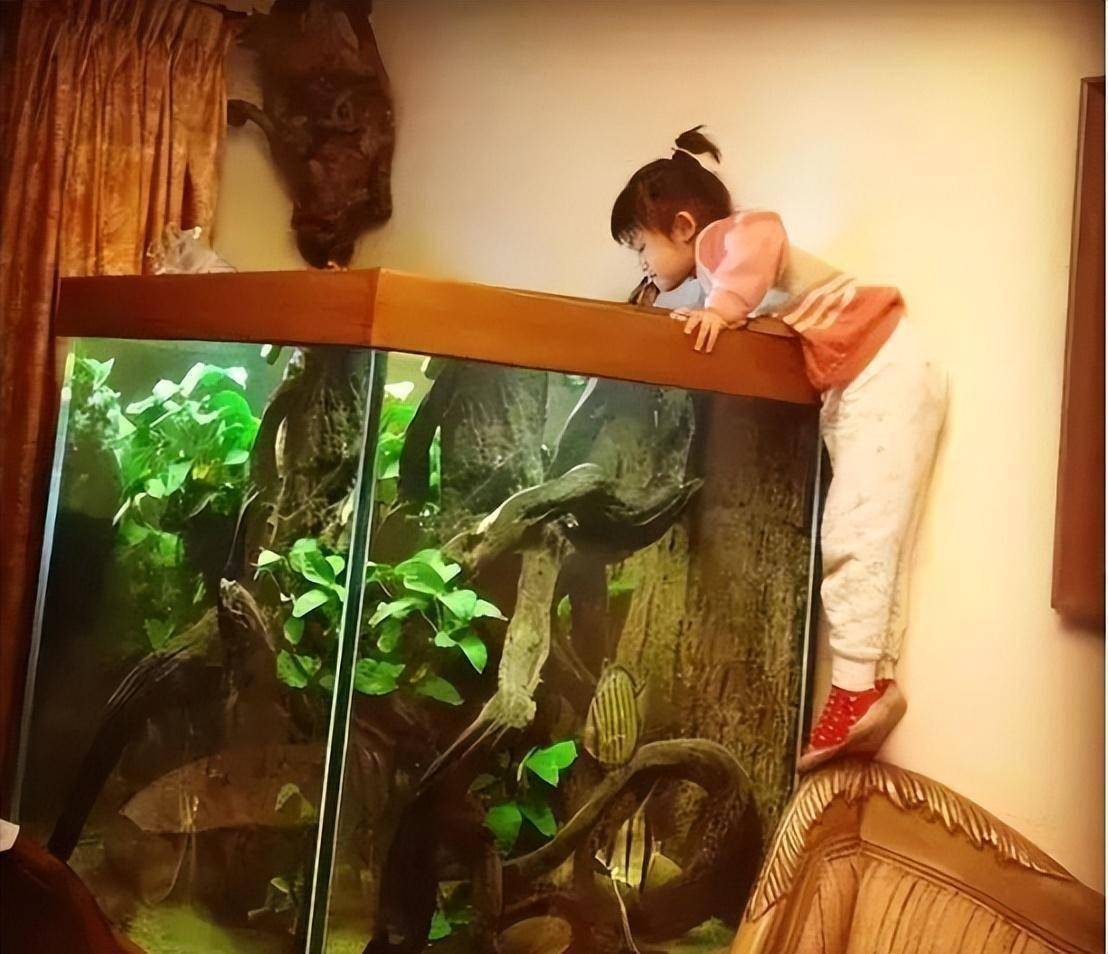 对于王昱珩妻子的信息,哪怕一张照片,网上几乎找不到,但可以肯定的是