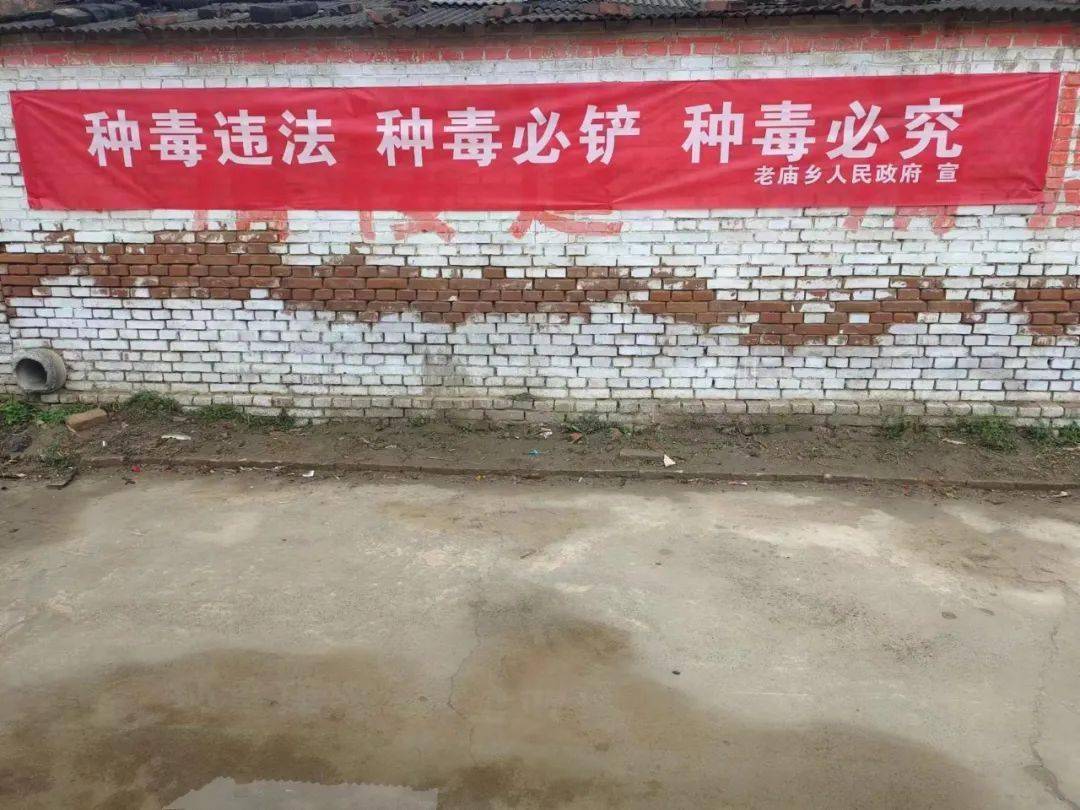 瞄准"平安法治星"——老爷庙乡开展禁种铲毒踏查活动_种植_毒品_工作
