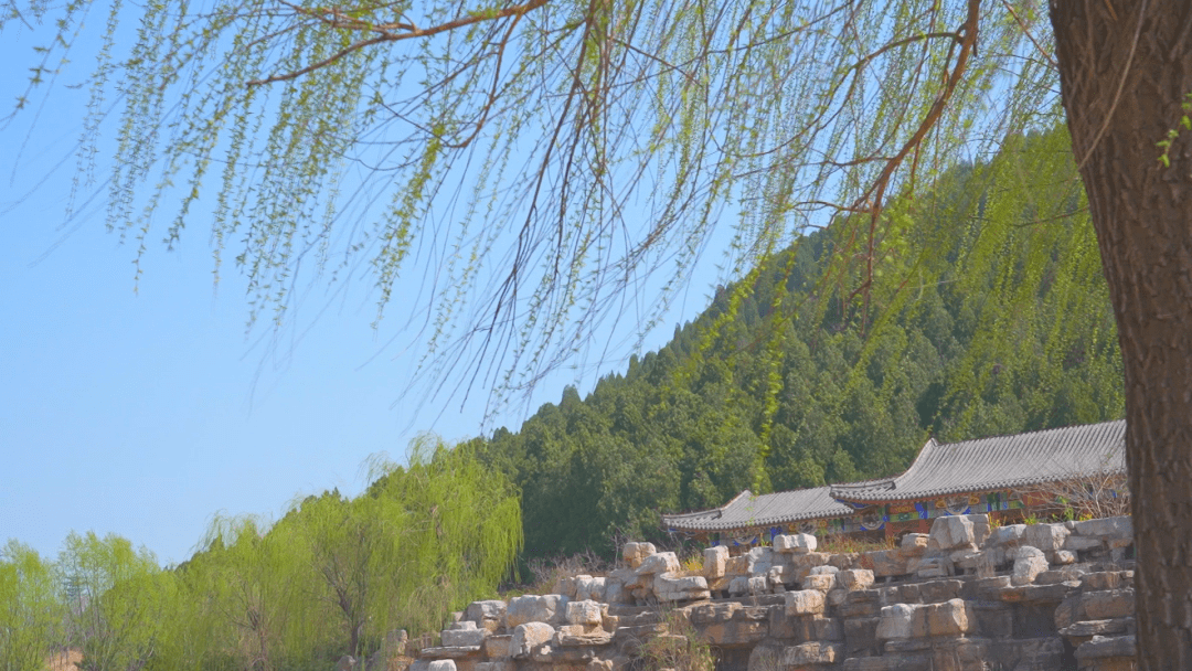 山可望文昌山扁鵲文化主題公園讓我們一起來看看長清的美好春色吧春光