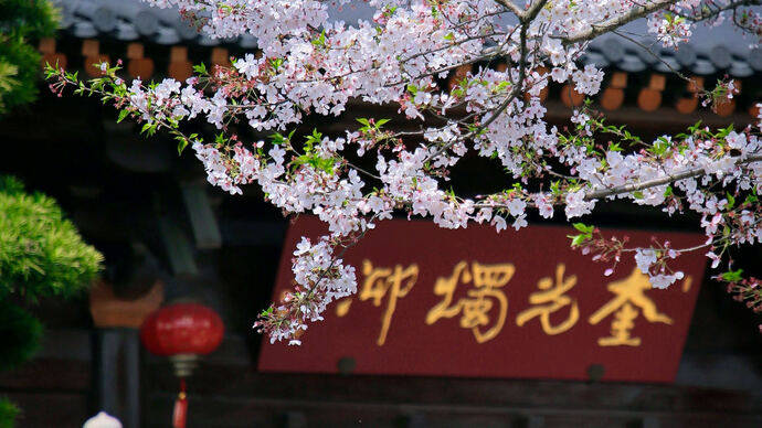 泗泾古镇正式开街,松江发布“春季问山十八游”全域旅游活动_文化_浦江_历史