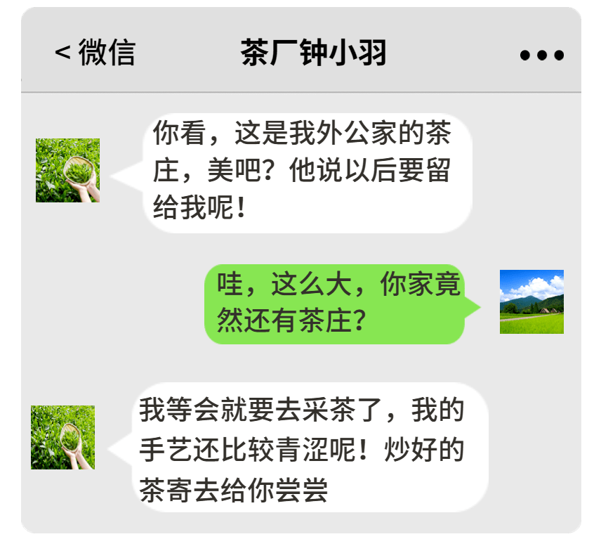 微信里一个茶厂漂亮女孩的头像发来了消息她温柔善良,体贴孝顺一声声"