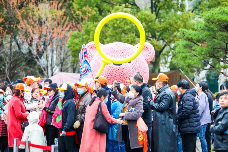 马鞍山鲜花（马鞍山卖花草的大市场在哪里） 第1张