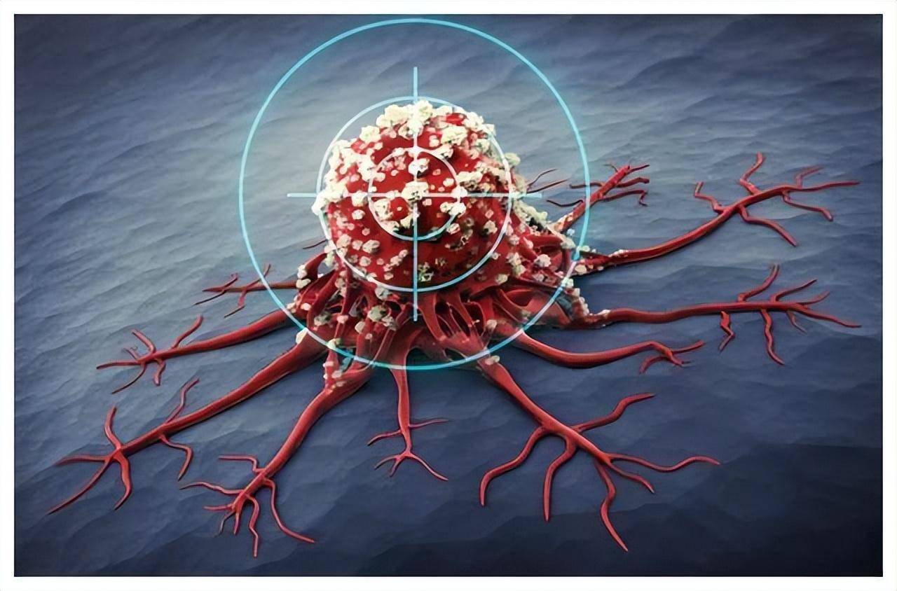 但是随着年龄增大,人体免疫功能逐渐衰退,免疫监视功能也随之下降