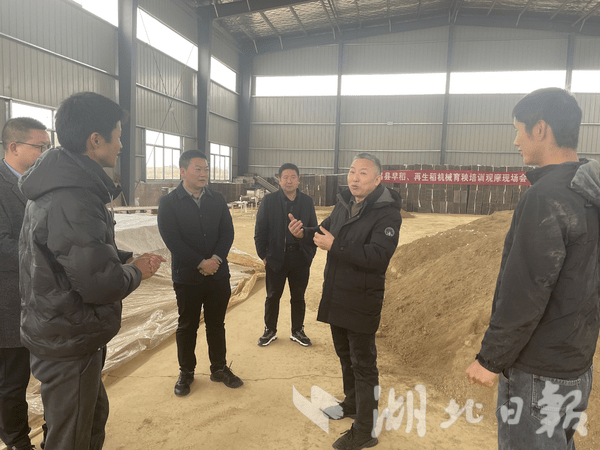 孝昌邹岗镇:华中农业大学教授下乡传艺 太子米产业更香了_种植_谢国生