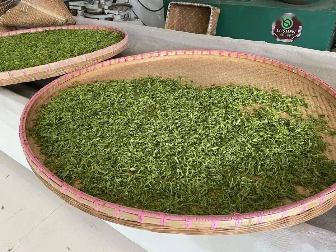 品质向好!_茶叶_径山镇_余杭