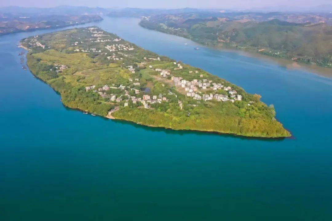 欧伟文_摄影_藤北