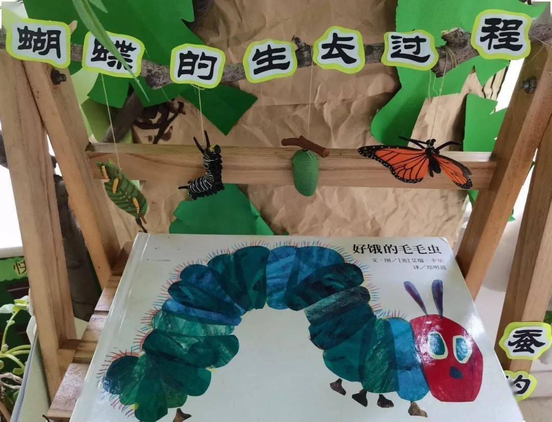 幼儿园春季环创技巧大揭秘!来收藏哦._材料_自然物_活动