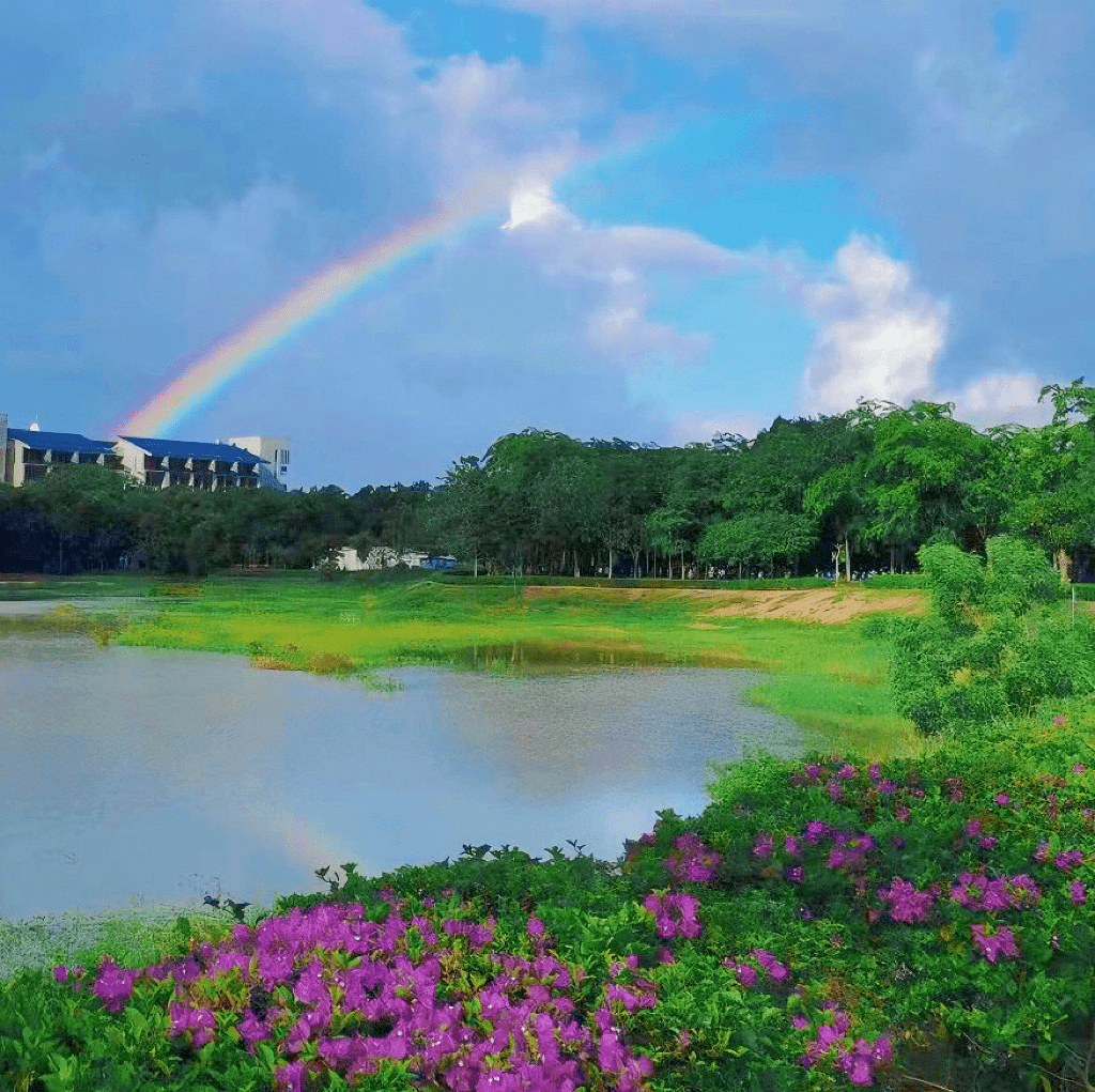 海南师范大学校花图片