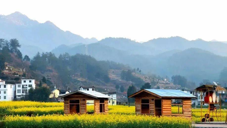 一封来自简池镇的春日邀请函_镇巴县_李塘_活动