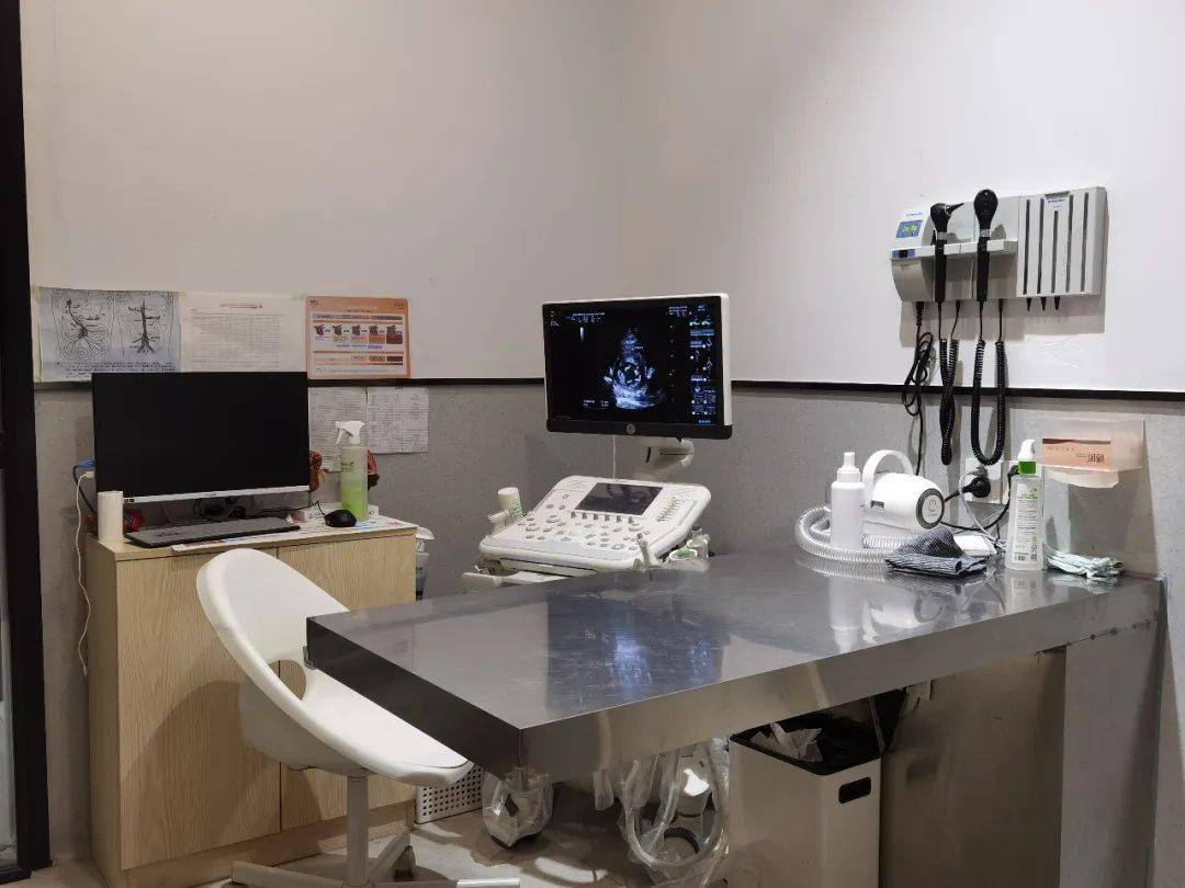 流浪猫tnr免费绝育项目,申请开始啦!_繁殖_动物_手术