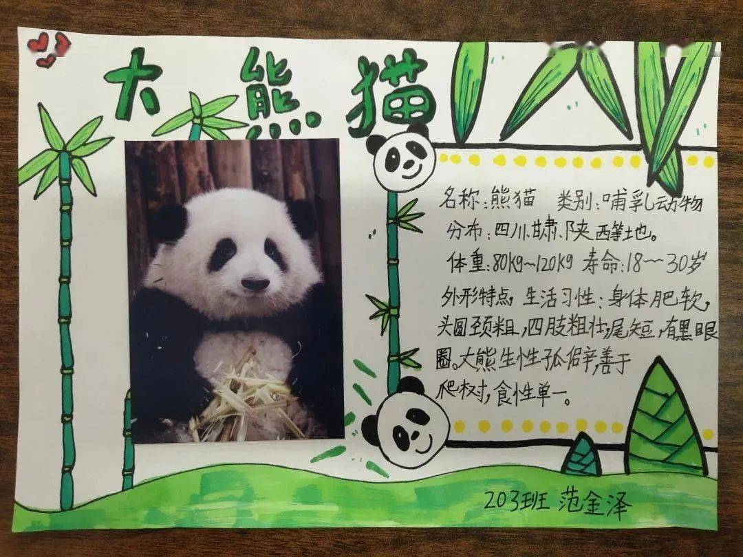 21瞧,孩子们还给这些可爱的动物制作了小小名片哦!