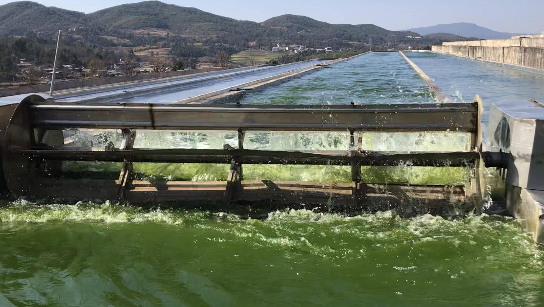 奋力夺取开门红 记者一线行丨云南爱尔发雨生红球藻产业化基地建设