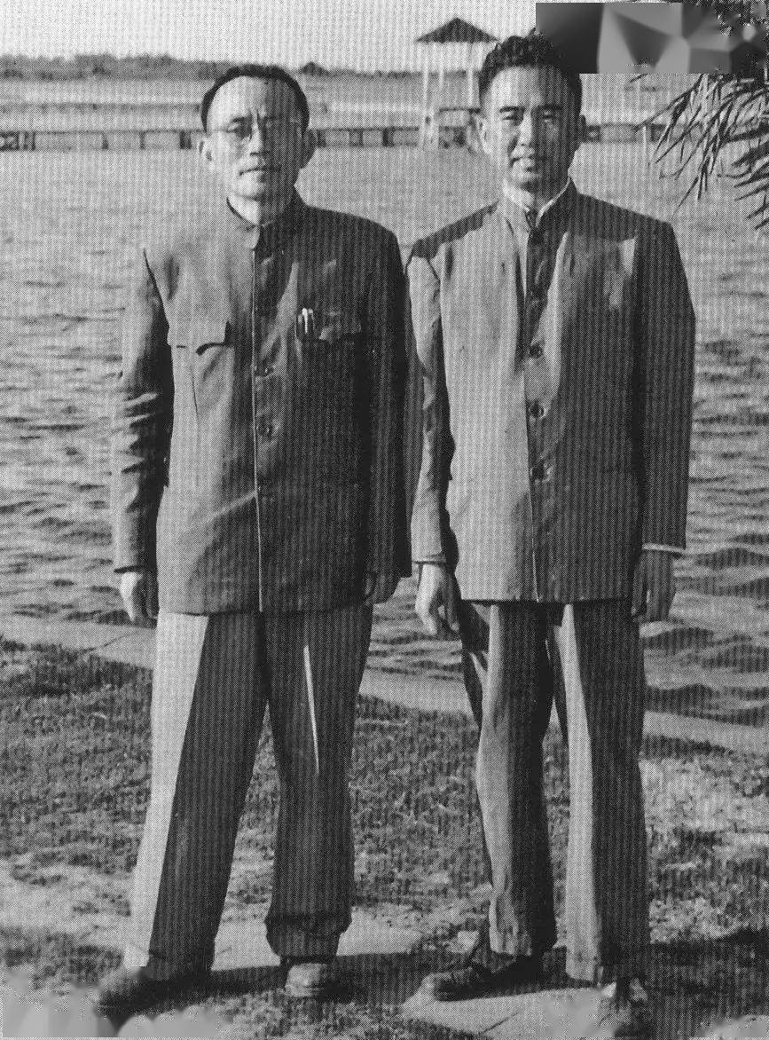 史国衡：一位潜力被扼杀的社会学家_搜狐网