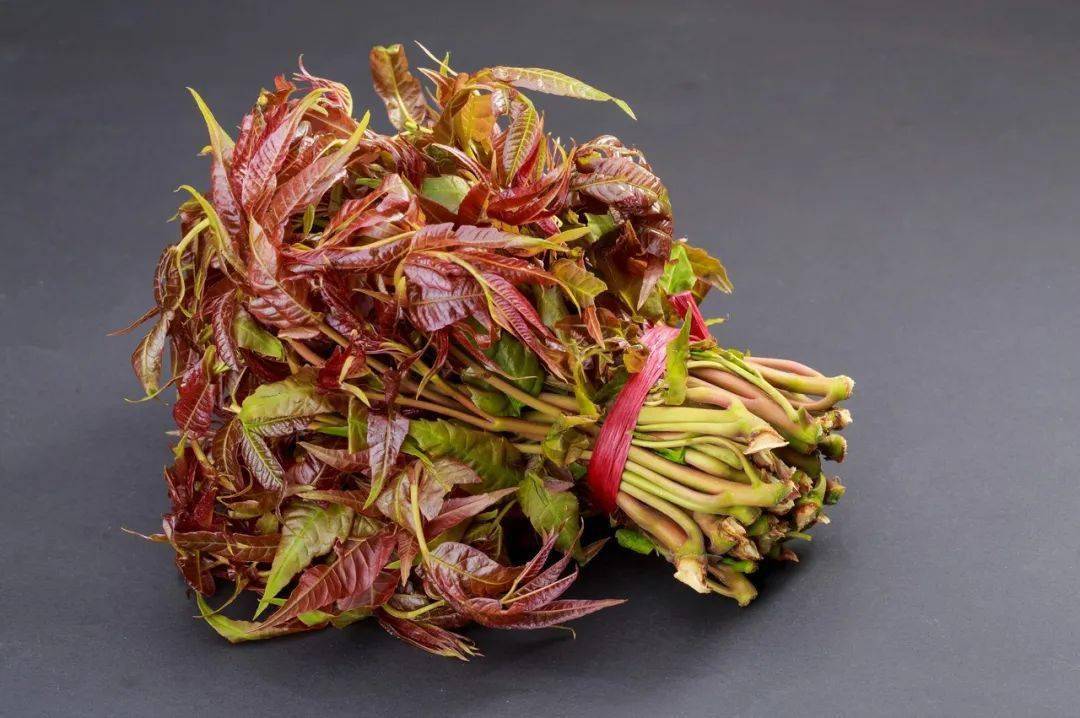 春分之际,这几种药食同源的春菜你吃了吗?_食用_含量_香椿