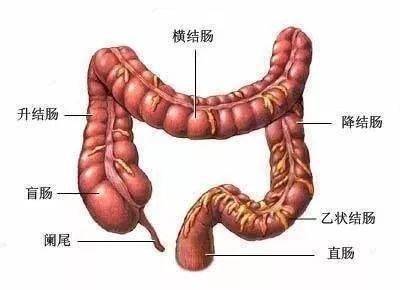 一文教你看懂