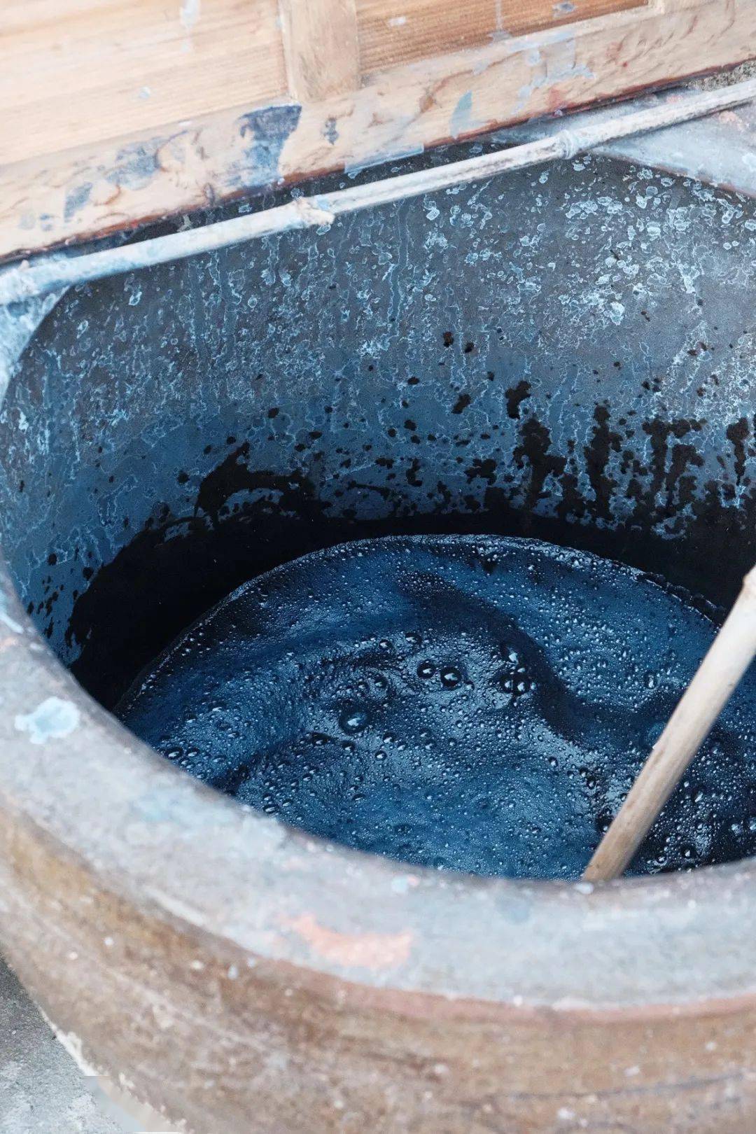 新生活|安居塘头一隅,对话草木花果