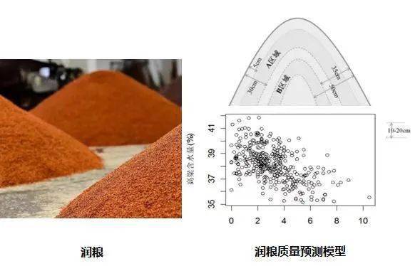 刚刚获权威认证国际领先的两项成果告诉你答案