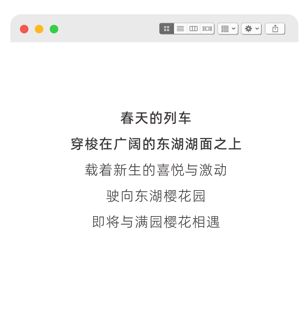 元宇宙里看樱花？虚拟东湖樱花园全程高能