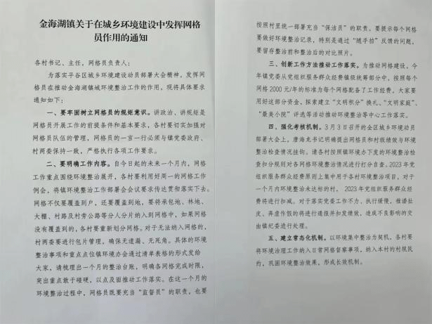 【情况建立党组织在动作】金海湖镇胡庄村：织密织细织牢“微网格” 助力打造情况整治样板村