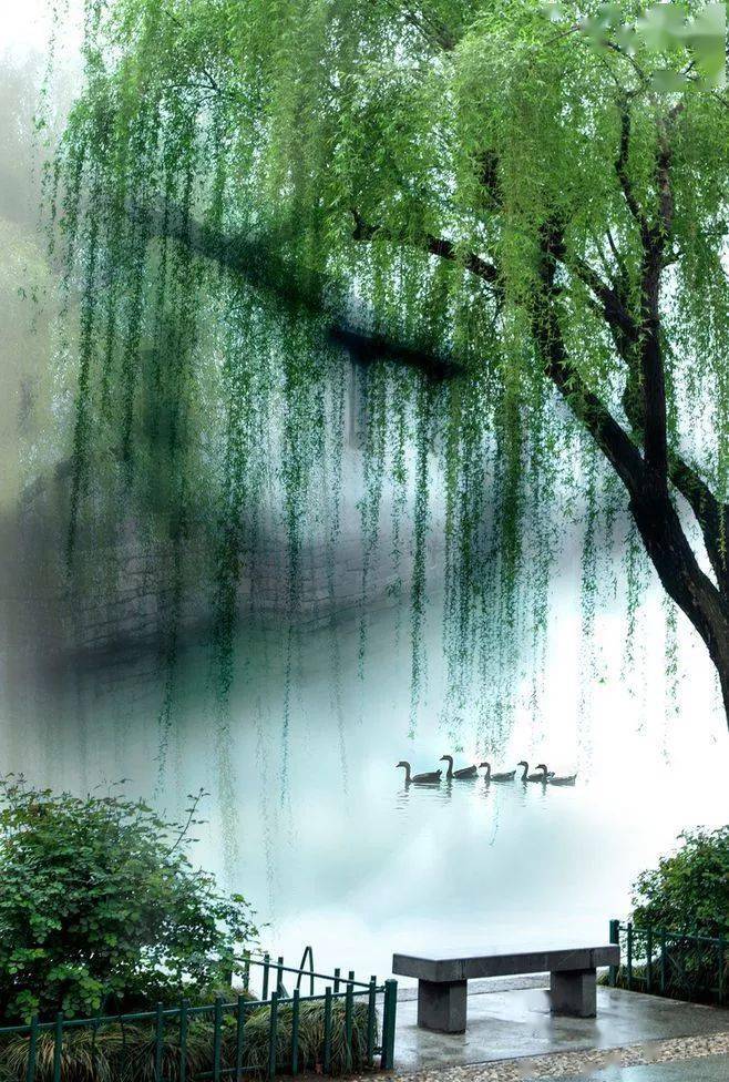 杏花烟雨,醉江南!_笔下_诗意_春雨