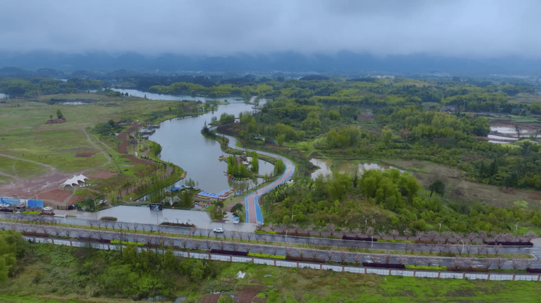 大足春雨过后 龙水湖樱花大道浪漫盛开_王利强_小娇_龚果