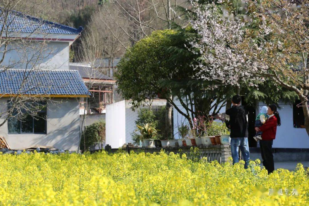 作者简介李国治,70后,甘肃康县人,中共党员.