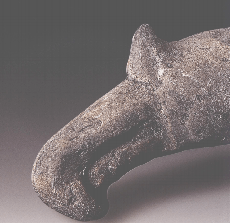 三星堆鸟头把_直径_神话_象征意义