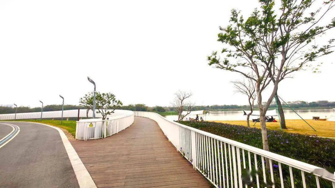 潮玩张槎丨从王借岗公园出发!