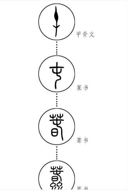 甲骨文毕业生自嘲最冷专业,为何走红?这一专业值得报考吗?