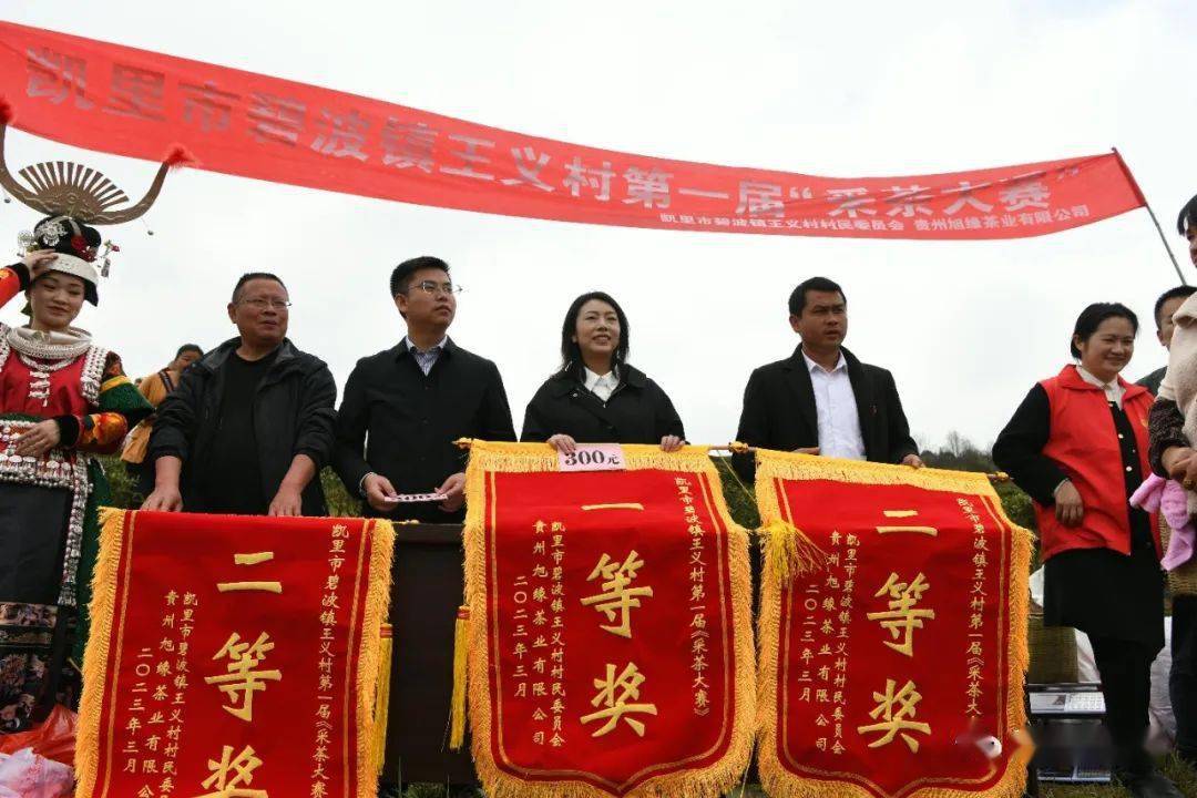 【时讯】凯里市碧波镇王义村:茶韵飘香 采茶开赛67_种植_比赛_大赛