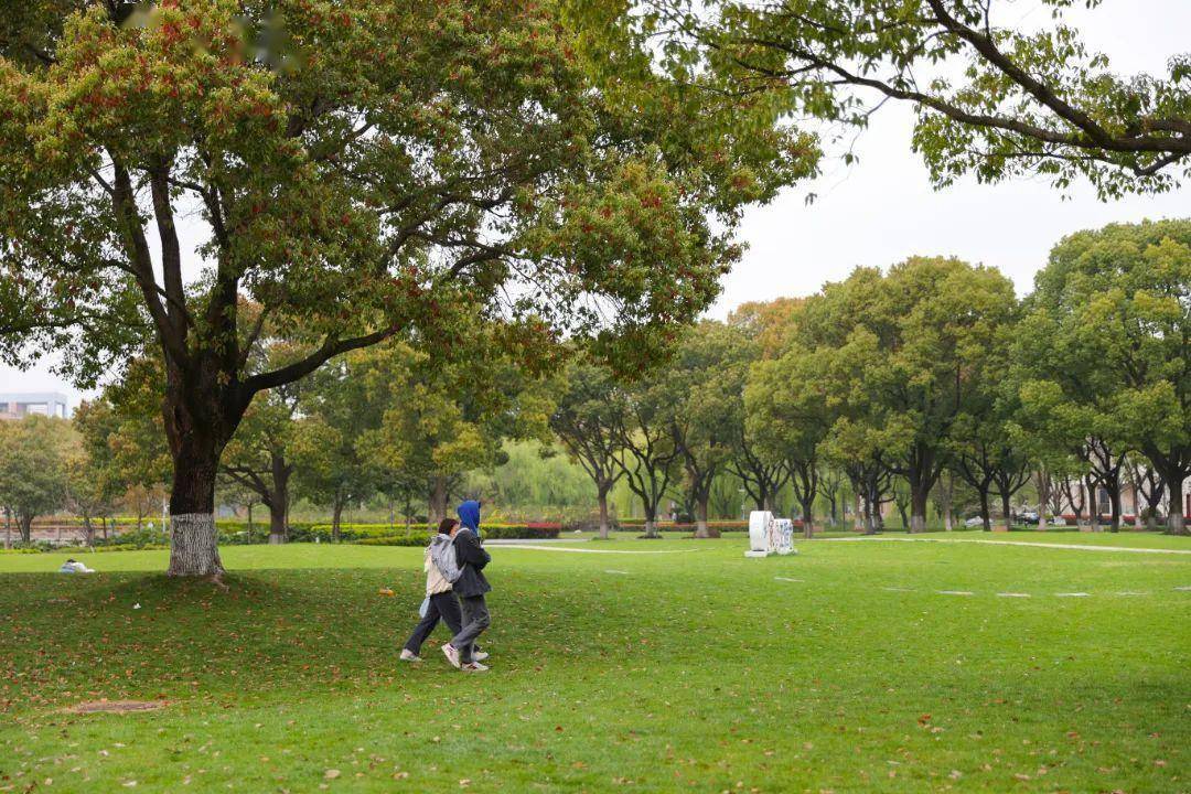 上海工程技术大学校门正对的一大片草地因四季常青,被学生们称为