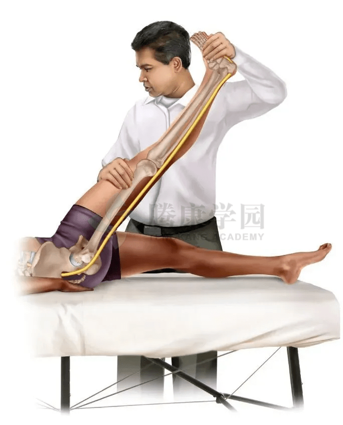 坐骨神经痛的成因和治疗_椎间盘_脊椎_腰部