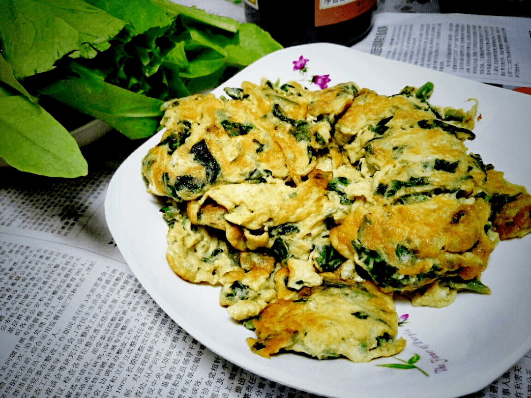 香椿炒鴕鳥蛋百鳥樂園是一個融觀賞性,知識性,趣味性與一體,集觀光