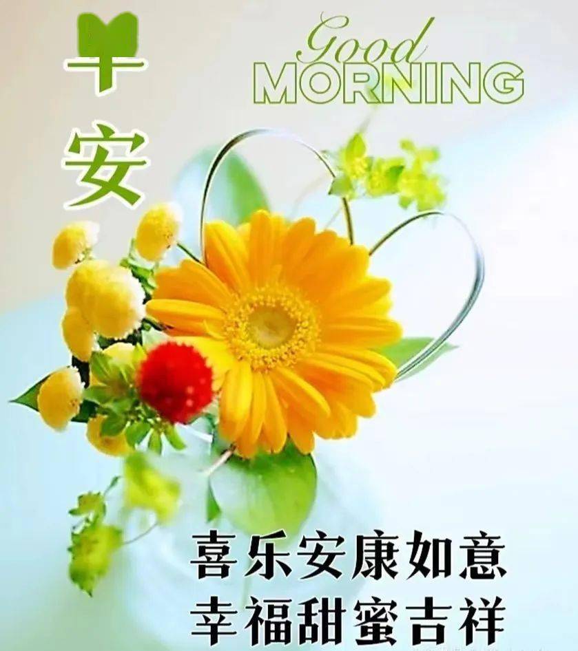 早安图片带祝福语,把最美好的祝福送给你_问候_人生_带着