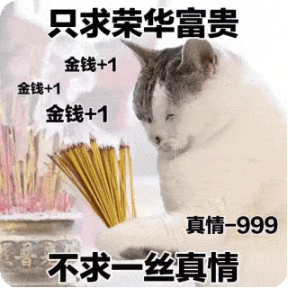 周二周二,命剩一半儿丨第651期猫咪表情包_侵权_网络_图片